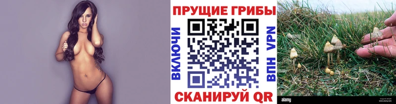 Псилоцибиновые грибы ЛСД  Симферополь 